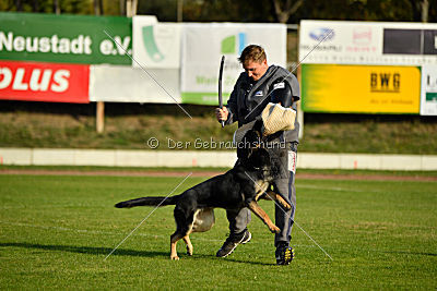 Tawa vom bösen Bruderblick