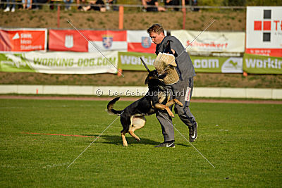 Tawa vom bösen Bruderblick