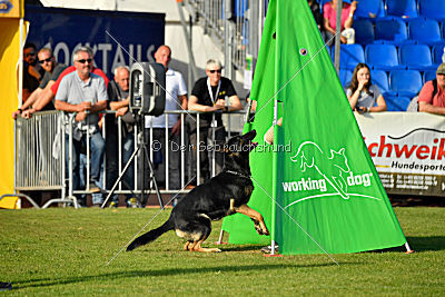 Tawa vom bösen Bruderblick