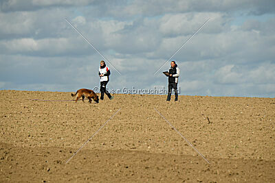 Thais out of Nastravik