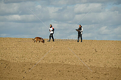 Thais out of Nastravik