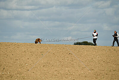 Thais out of Nastravik