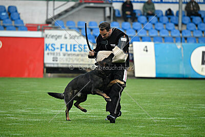 Theo vom Gottwollshäuser Tal