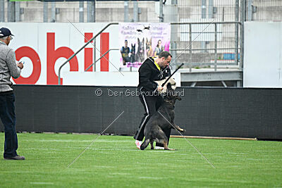 Theo vom Gottwollshäuser Tal