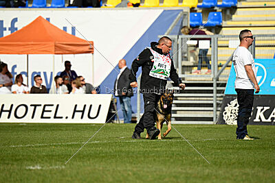 Theo vom Schopperweg