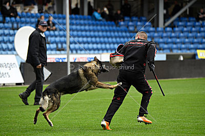 Thiarco Extra-Terrestrial