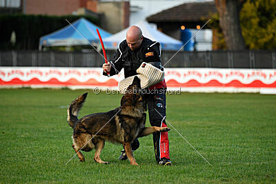 Thibo van Hamersslag