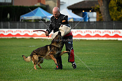 Thibo van Hamersslag