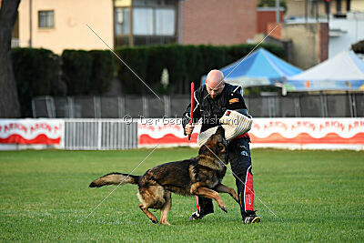 Thibo van Hamersslag