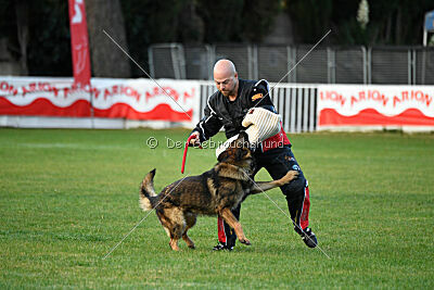 Thibo van Hamersslag