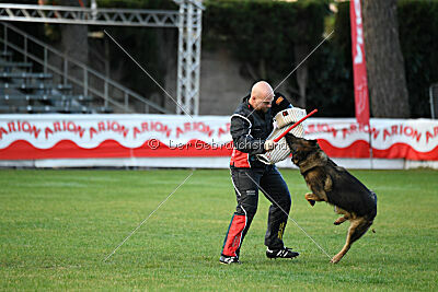 Thibo van Hamersslag