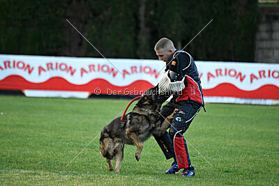 Thibo van Hamersslag