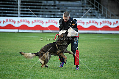 Thibo van Hamersslag