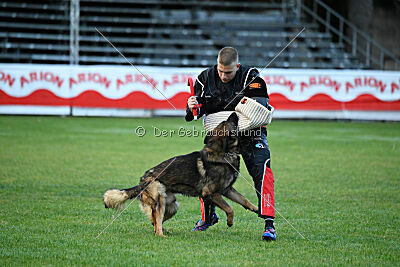 Thibo van Hamersslag