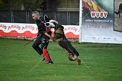 Thibo van Hamersslag