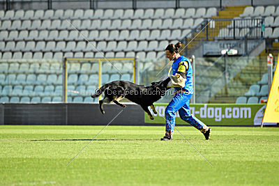 Thor van Sallandbloed