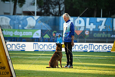 Thorr vom Hause Verda's