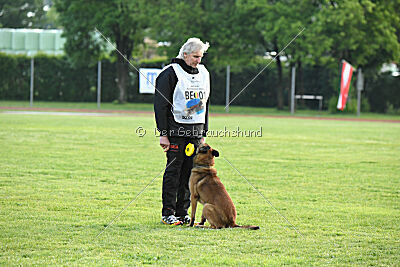 Thorr vom Hause Verda's