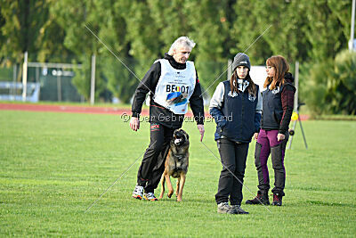 Thorr vom Hause Verda's