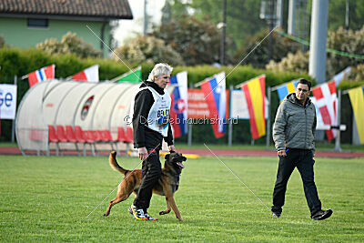 Thorr vom Hause Verda's