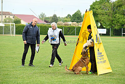 Thorr vom Hause Verda's