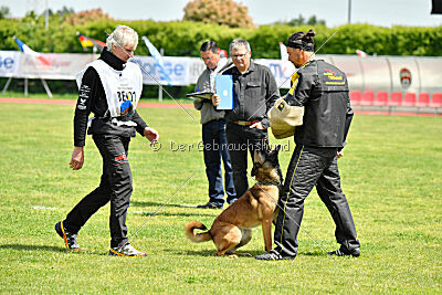 Thorr vom Hause Verda's