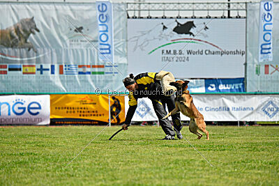 Thorr vom Hause Verda's