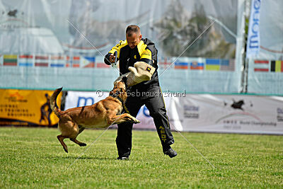 Thorr vom Hause Verda's