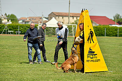 Thorr vom Hause Verda's