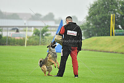 Thyrion de la Mamba Noire