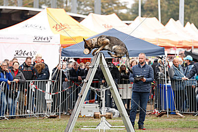Tide von Burg Tiersperg