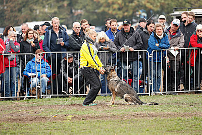 Tide von Burg Tiersperg