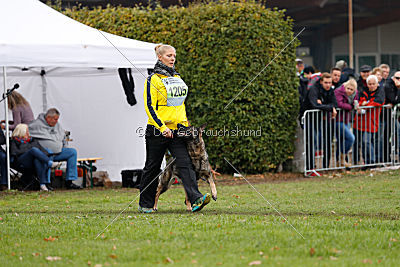Tide von Burg Tiersperg
