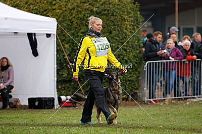 Tide von Burg Tiersperg