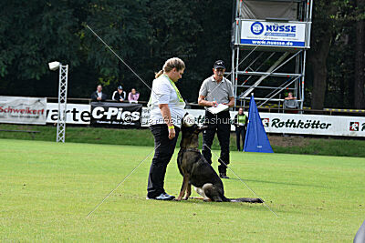Tilli vom bösen Bruderblick