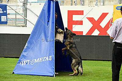 Tilli vom bösen Bruderblick