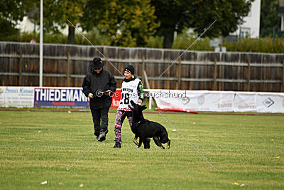 Timberley vom Wolfsdreieck