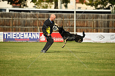 Timberley vom Wolfsdreieck