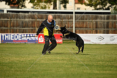 Timberley vom Wolfsdreieck