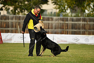 Timberley vom Wolfsdreieck