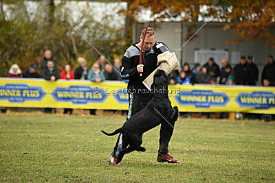 Tintenfass Watson HV'S Son