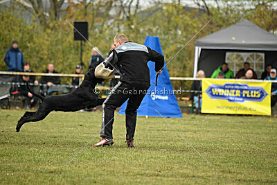 Tintenfass Watson HV'S Son