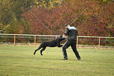 Tintenfass Watson HV'S Son