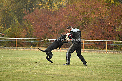 Tintenfass Watson HV'S Son