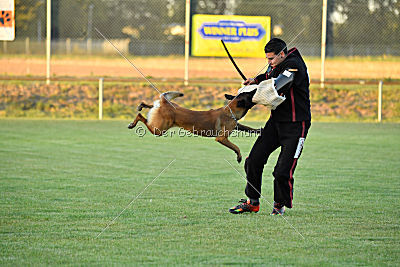 Titus maximus ad multos annos