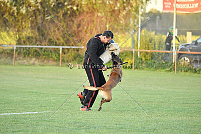 Titus maximus ad multos annos