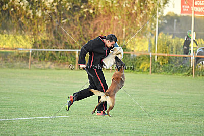 Titus maximus ad multos annos