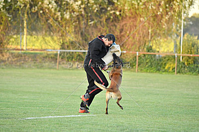 Titus maximus ad multos annos