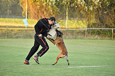 Titus maximus ad multos annos