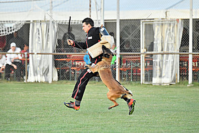 Titus maximus ad multos annos